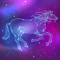 Zodiac. Chinese horoscope. Outline horse image.